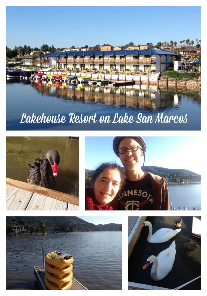 Lakehouse and lake activities