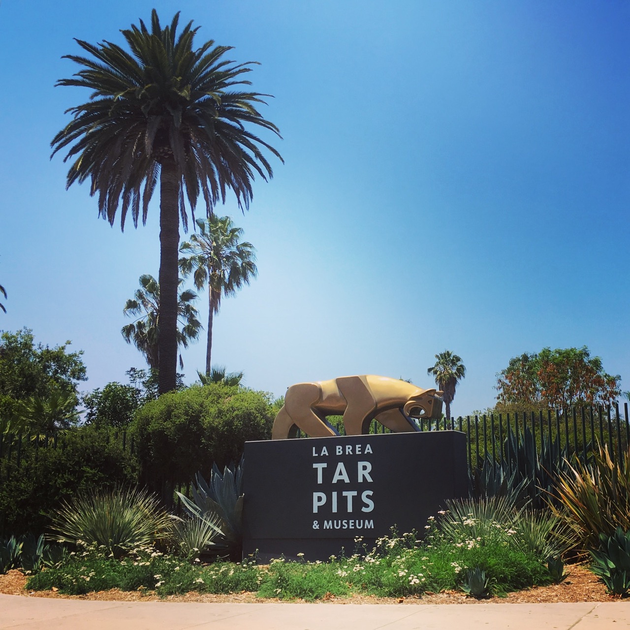 O La Brea Tar Pits é um dos museus divertidos e educativos para levar as crianças em Los Angeles