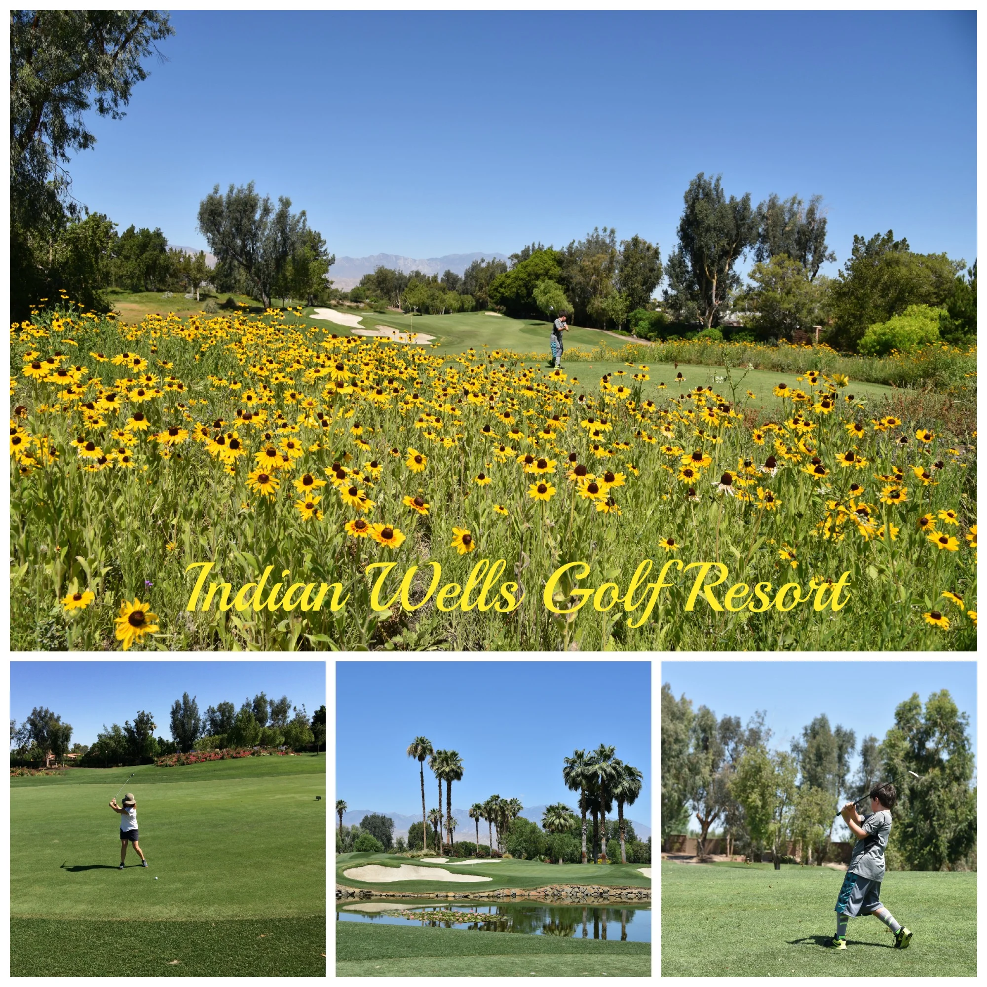 Indian_Wells_Golf_Resort