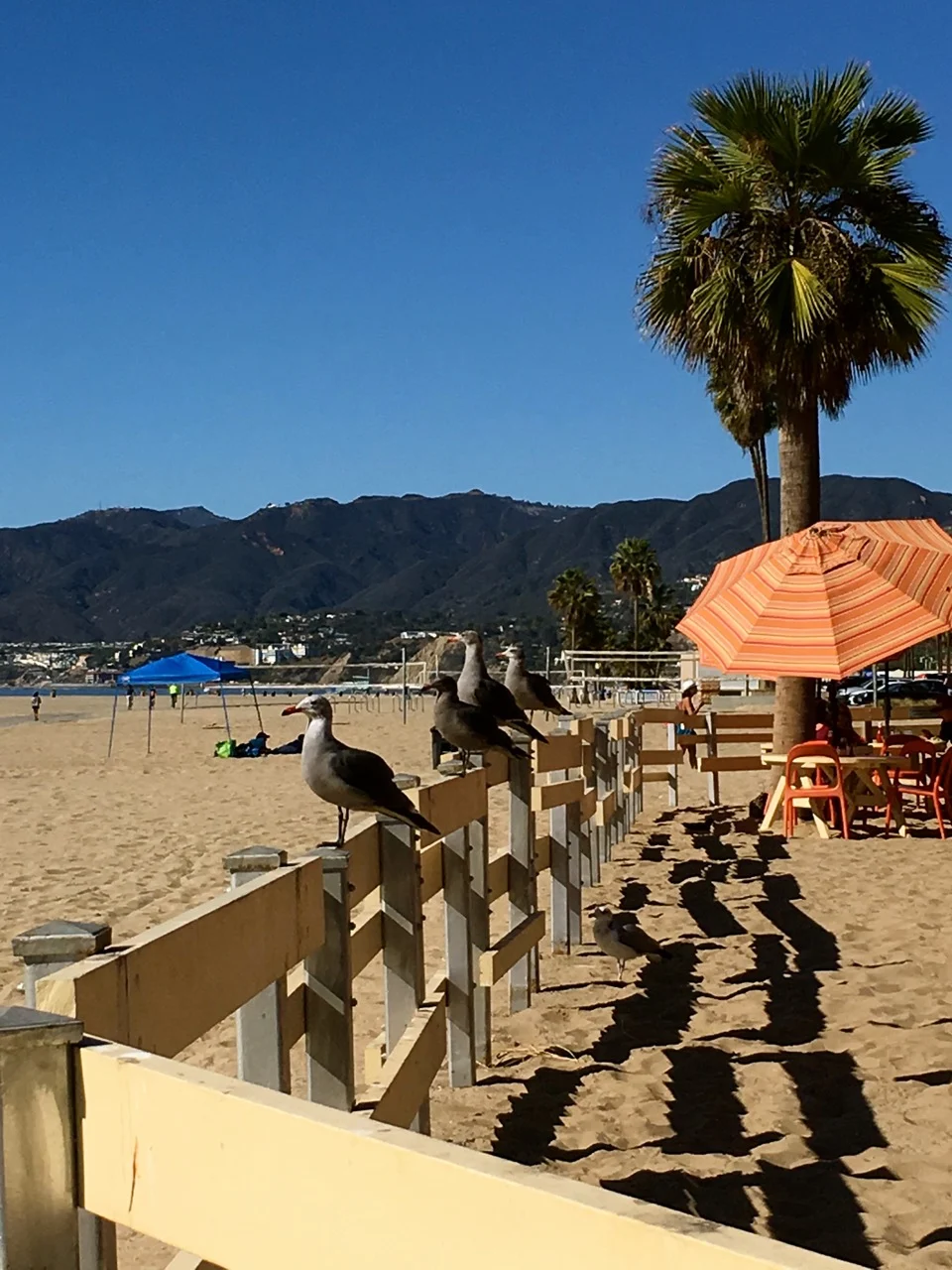 There are so many beautiful beach in Los Angeles including this one in front of Back on the Beach in Santa Monica