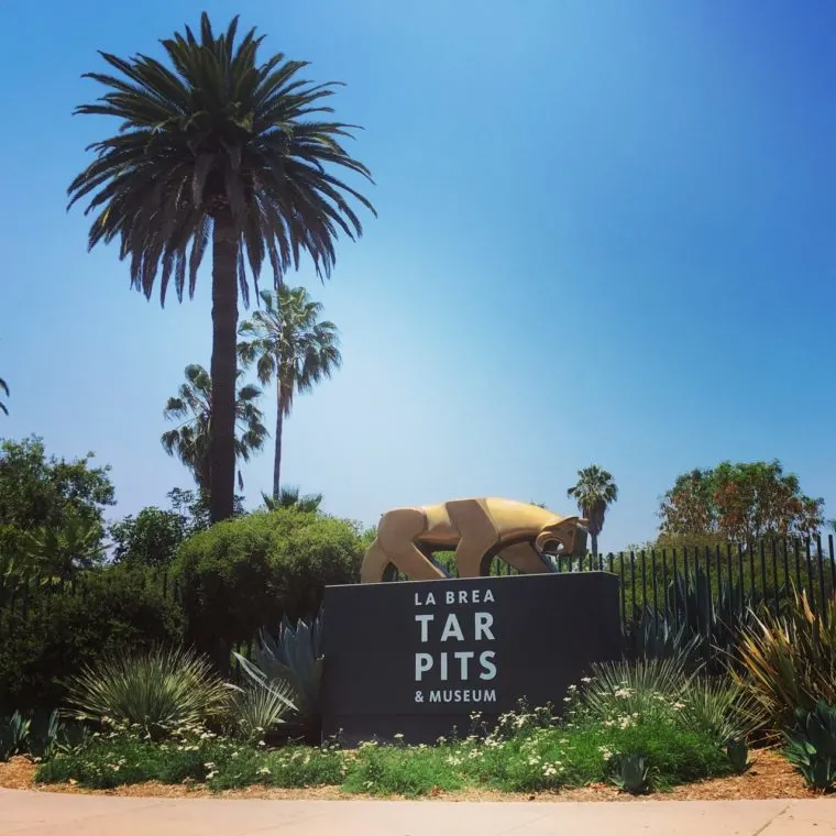 The La Brea Tar Pits is one of the educational (and fun!) places to take kids in Los Angeles