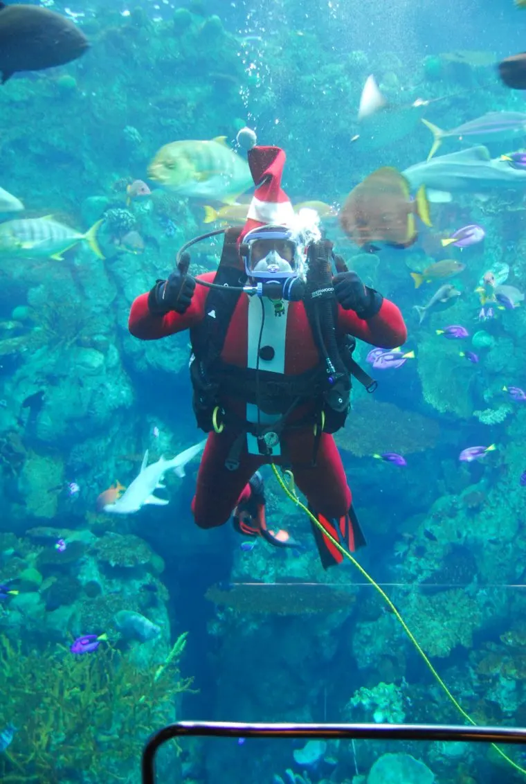 Santa underwater at Aquarium of the pacific