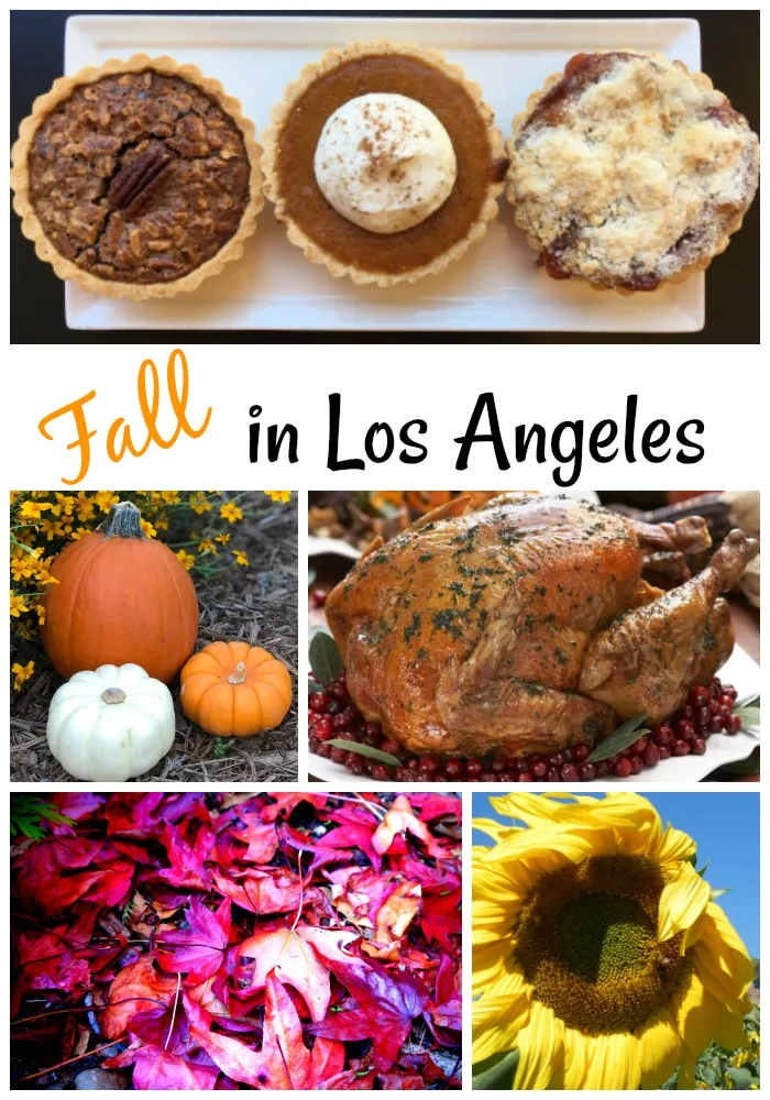 Fall is a great time to be in Los Angeles. Check out our guide for things to do for Thanksgiving and beyond. (photos by Yvonne Condes except for the turkey, which is courtesy of Descanso Gardens)