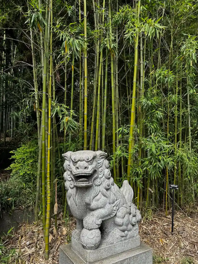 The Japanese Garden at the Huntington