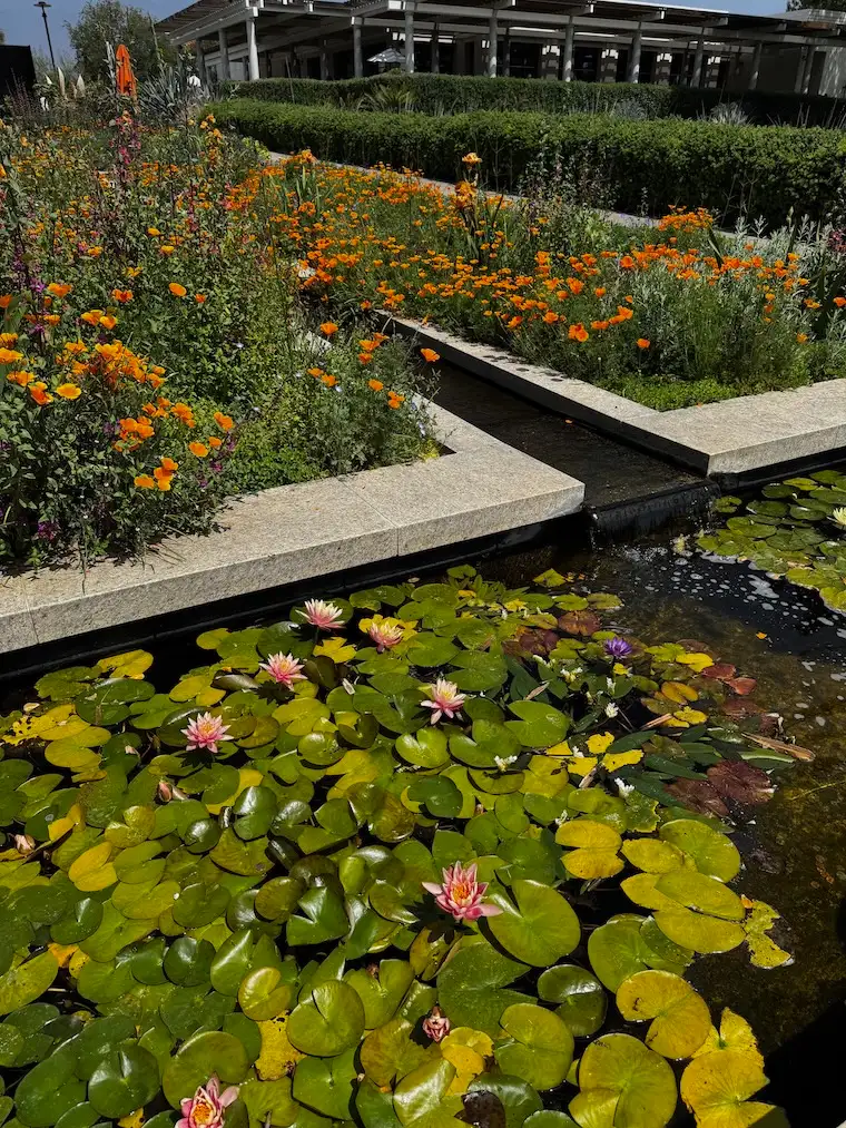 gardens and water feature at the Huntington