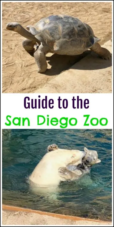 Guide to the San Diego Zoo. #sandiego #familytravel #zoo