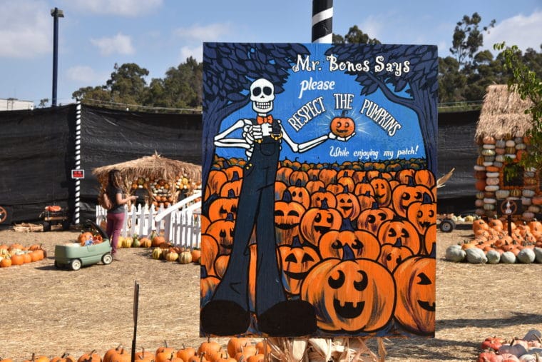 Mr. Bones Pumpkin Patch is great way to celebrate Halloween. #losangeles #pumpkinpatch #thingstodoinlosangeles #losangelesfamily 
