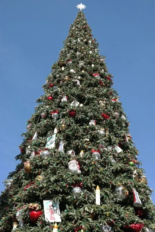 60-foot Christmas tree on Main Street in Disneyland