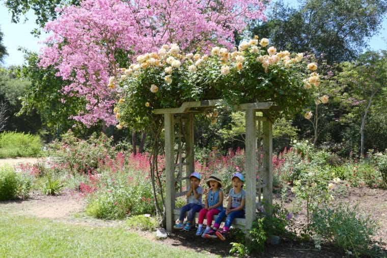 DESCANSO Botanical gardens kids sitting on bench