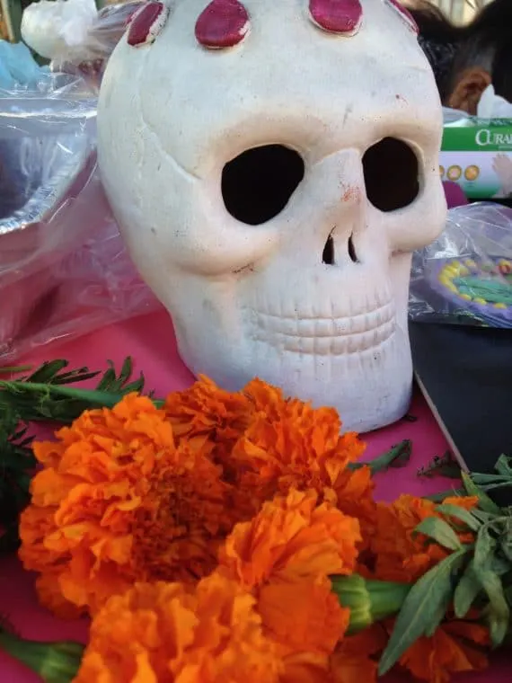 decorations for Day of the Dead a skull and marigolds
