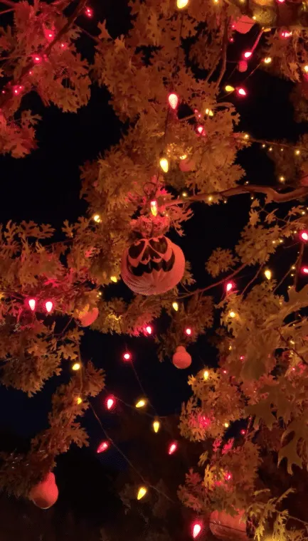The official Halloween tree at Disneyland