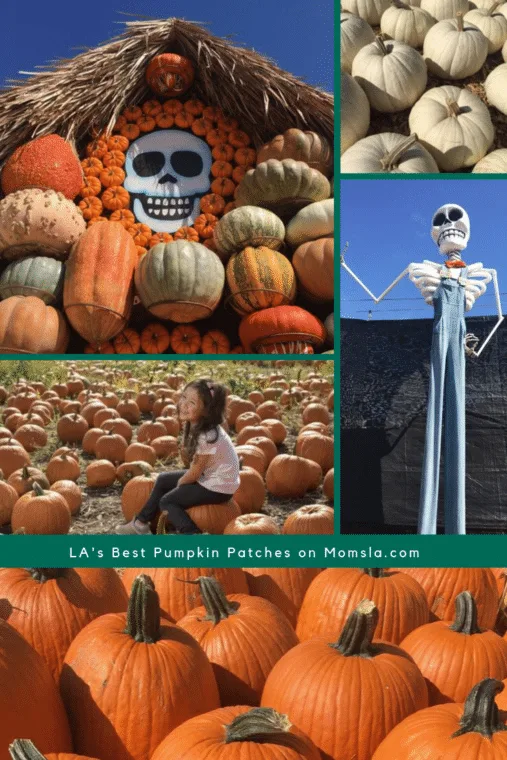 pumpkin patches in Los Angeles