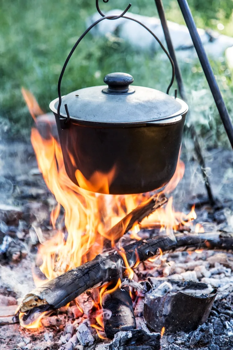 Cooking pot over the flames in the forest