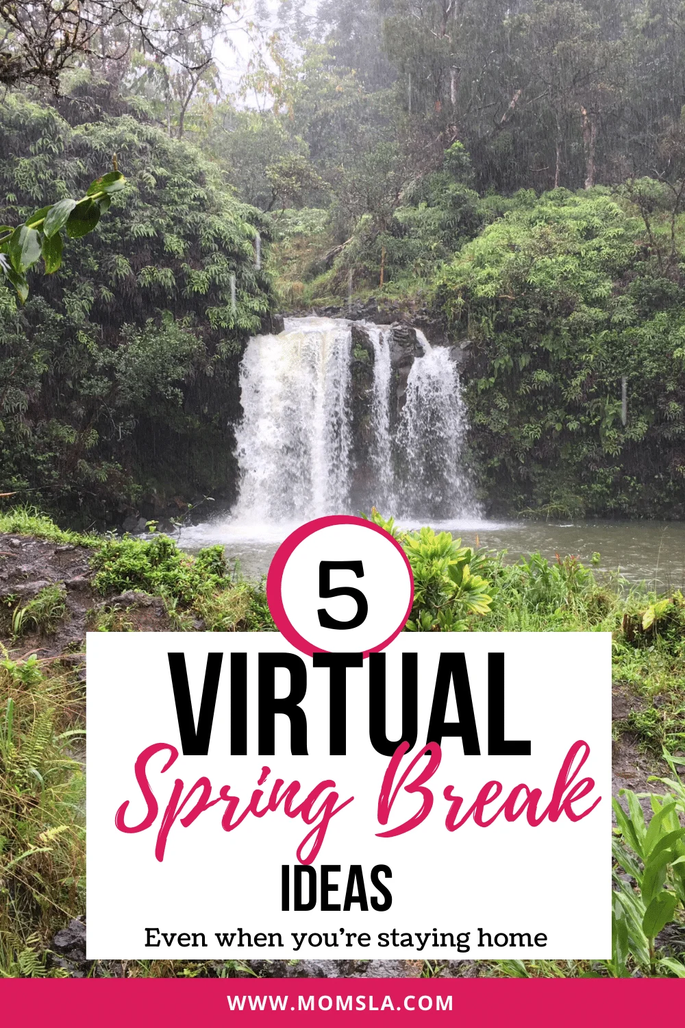 virtual spring break ideas