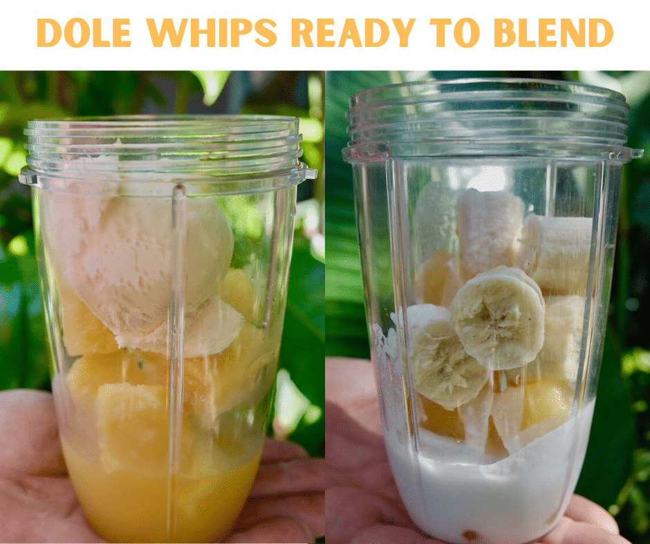 Dole Whips Ready to Blend