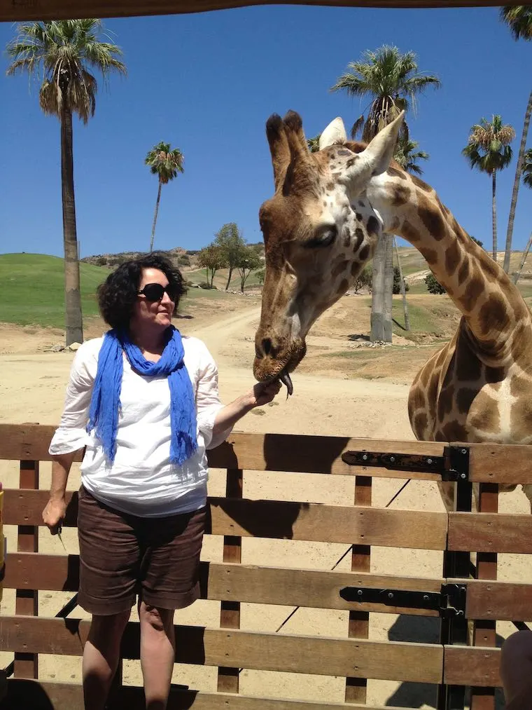 the giraffe feeding experience at the San Diego Safari Park