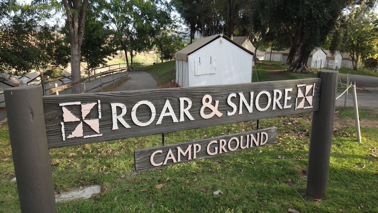 roar and snore camp ground at san diego zoo safari park
