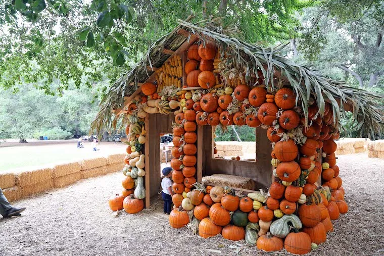 Halloween pumpkin house at Descanso Gardens