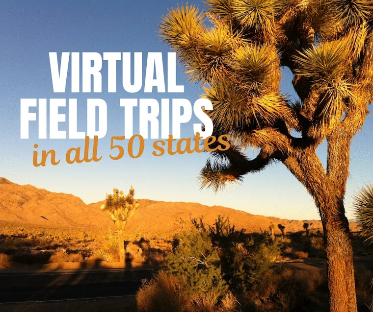 joshua tree virtual field trips in 50 states