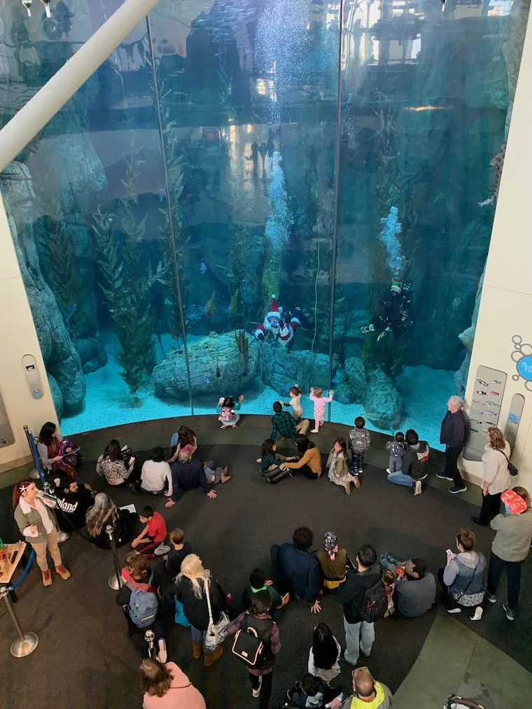 Giant tank exhibit at the Aquarium of the Pacific, showing "Santa Diver" and onlookers
