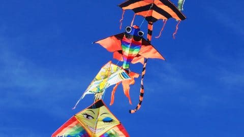 kite in blue sky