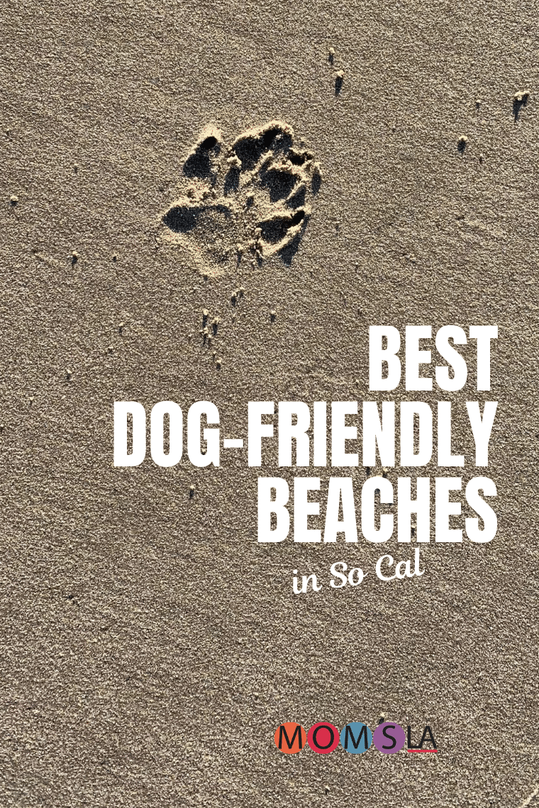 sand with dog paw print text best dog-friendly beaches in SoCal
