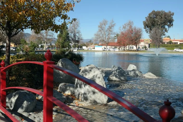 Temecula Duck Pond