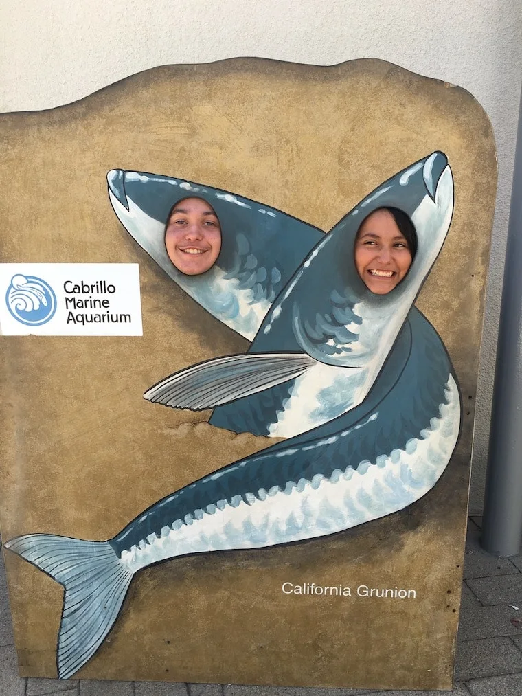 Cabrillo Aquarium grunion photo opp