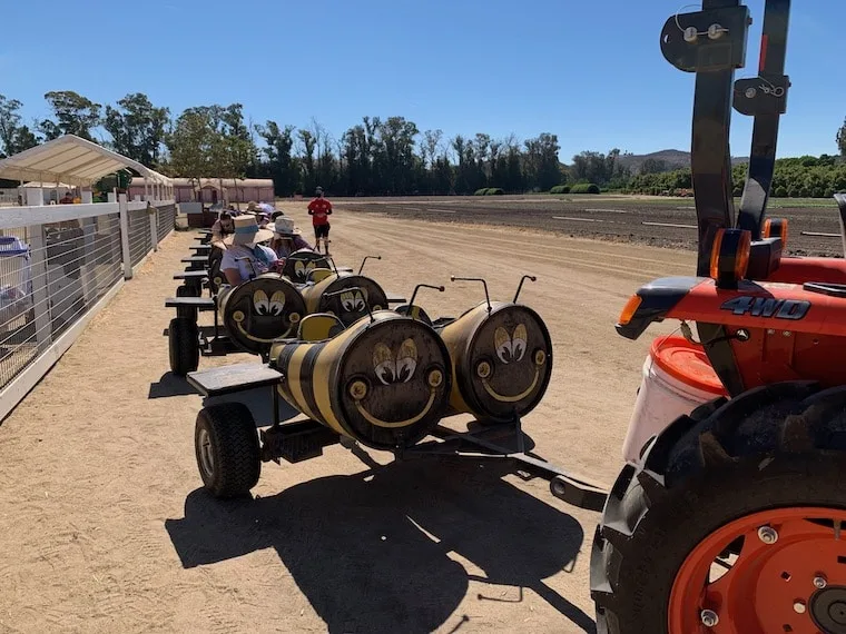 the Bee Train at Underwood Family Farms