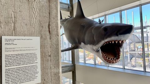 Bruce-the-shark-at-Academy-Museum-of-Motion-Pictures