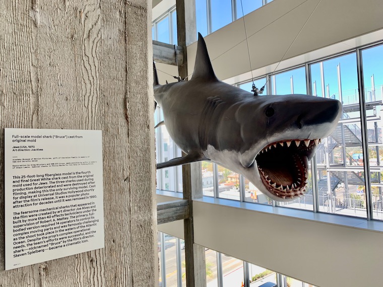 Bruce, the shark from Jaws, at the Academy Museum of Motion Pictures
