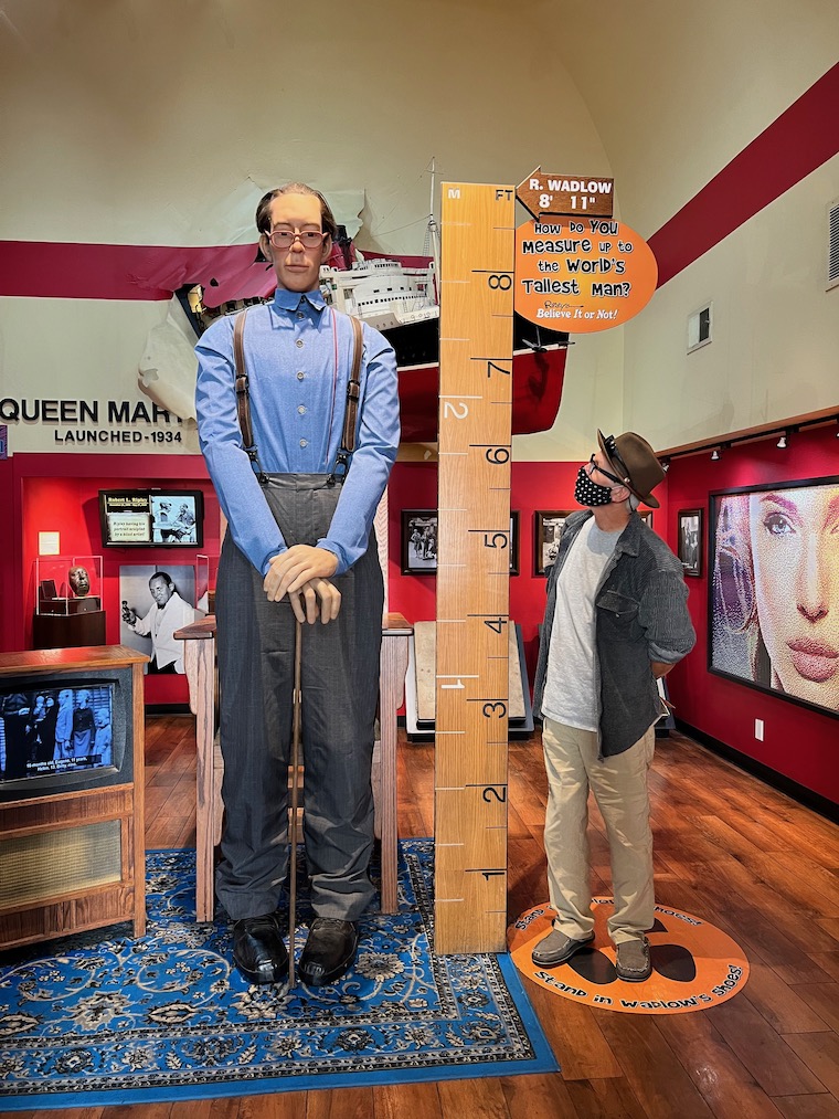 A 6'2" man standing next to a model of the World's Tallest Man at Ripley's Believe It or Not! Odditorium
