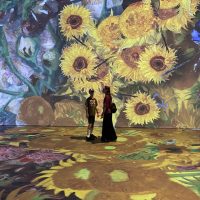sunflowers-at-Van-Gogh-immersive-event