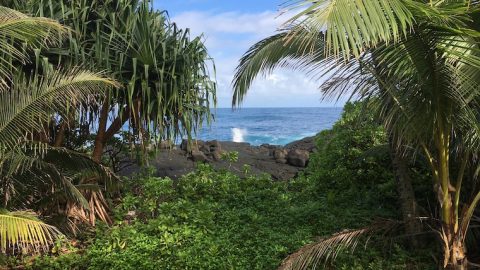 Hawaii-tropical-view-of-the-ocean