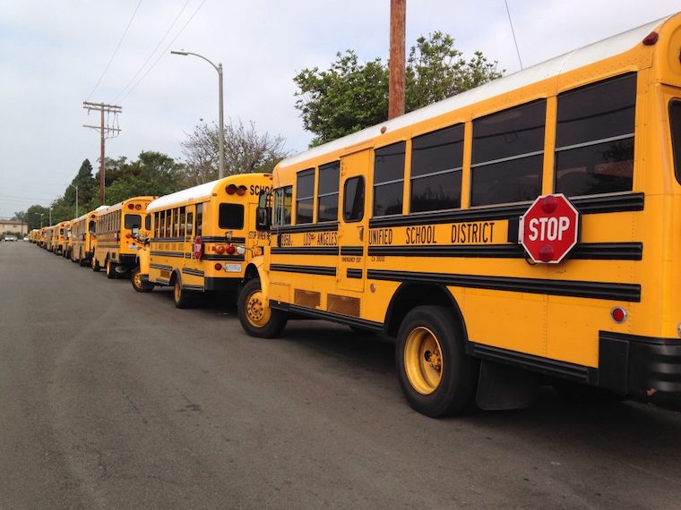 a line of school busses