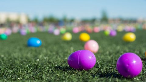 easter-eggs-on-a-green-lawn