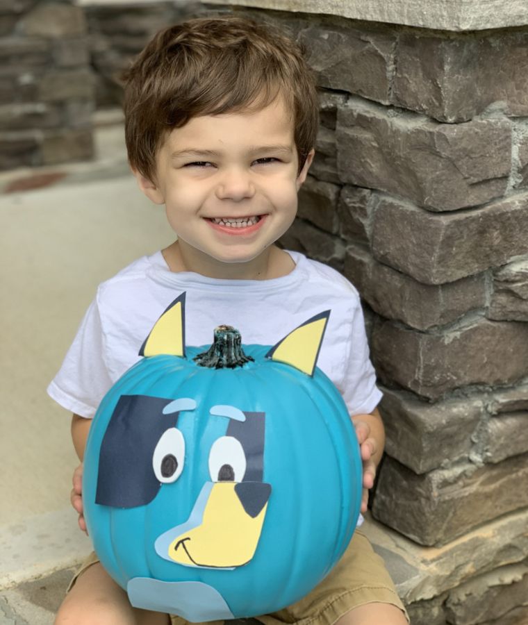 Disney Junior Bluey No-Carve Pumpkin For Halloween