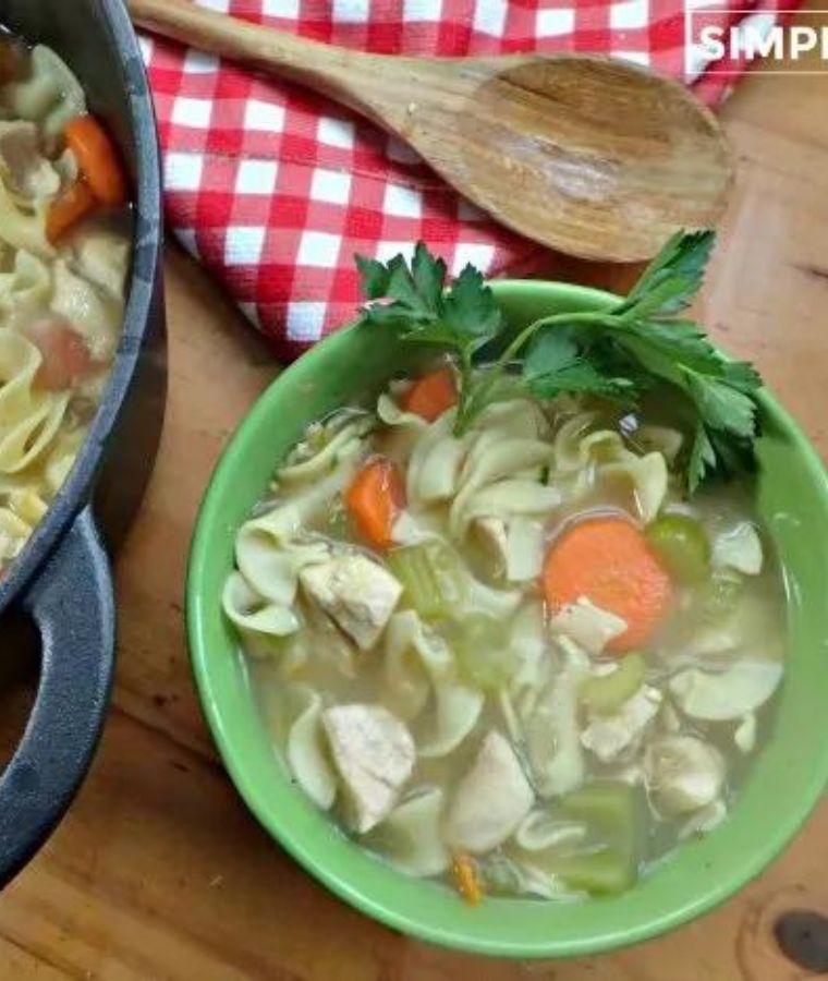 Chicken Noodle Soup Homemade Recipe