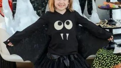 Easy No Sew Bat Costume from Tikkido