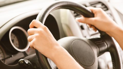 hands on the steering wheel