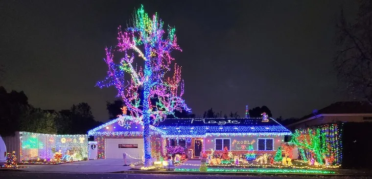 Magic Tree Light Display house in Sherman Oaks