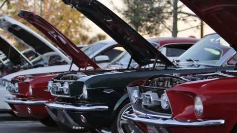 mustang cars with their hoods up at a car show