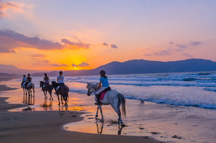 a group of Horseback riders on the beach at sunset