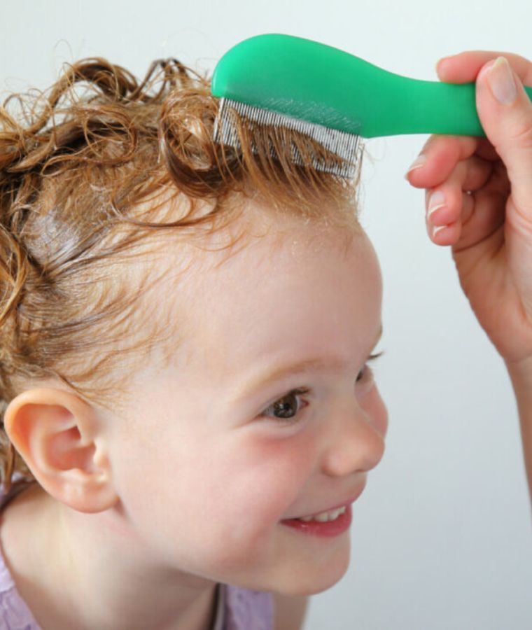 smiling, red-headed child having her hair combed for lice