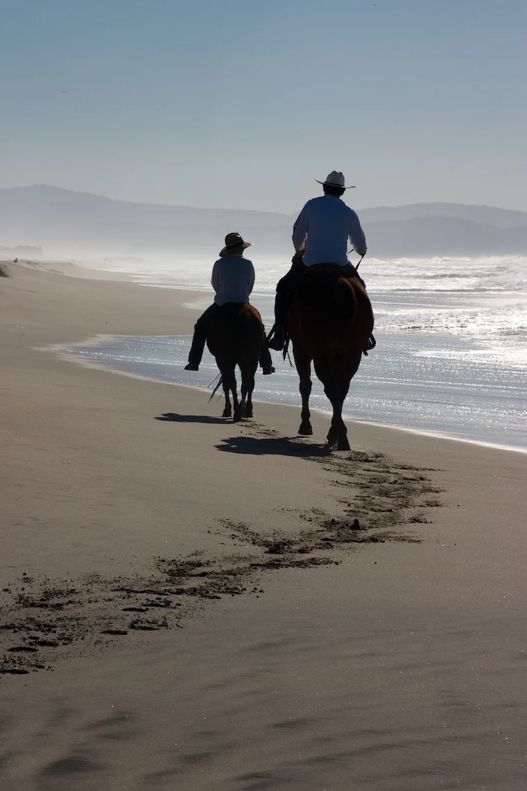 two horseback riders on the beach