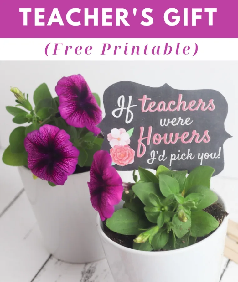 A Really Simple Homemade Teacher’s Gift (Free Printable)