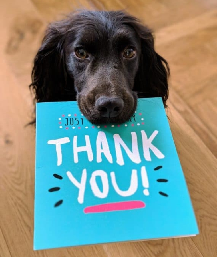 dog-saying-Thank-you