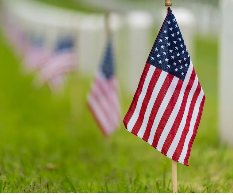 American Flags in the National Cemetery for Memorial Day