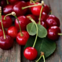 Fresh cherries featured image