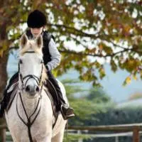 Horseback riding lessons Featured Image